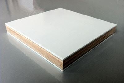 plywood sandwich panel